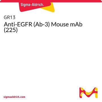 Anti-EGFR (Ab-3) Mouse mAb (225)