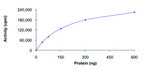 NUAK2, active, GST tagged human PRECISIO&#174; Kinase, recombinant, expressed in baculovirus infected Sf9 cells, &#8805;70% (SDS-PAGE), buffered aqueous glycerol solution