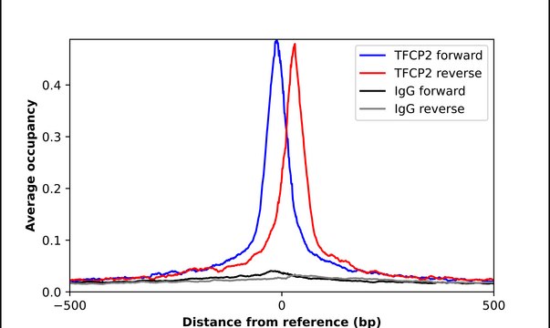 Anti-TFCP2 antibody produced in rabbit Prestige Antibodies&#174; Powered by Atlas Antibodies, affinity isolated antibody