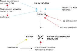 Plasminogen activator inhibitor 1 (PAI-1) human recombinant, expressed in E. coli, &#8805;90% (SDS-PAGE)