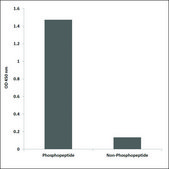 Anti-phospho-Tau (pSer516/199) antibody produced in rabbit affinity isolated antibody