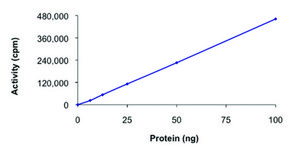 AMPK (&#945;2/&#946;2/&#947;1), active, His tagged human PRECISIO&#174; Kinase, recombinant, expressed in baculovirus infected Sf9 cells, &#8805;70% (SDS-PAGE), buffered aqueous glycerol solution
