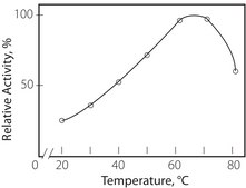 Invertase from Candida utilis Grade X, &#8805;300&#160;units/mg solid
