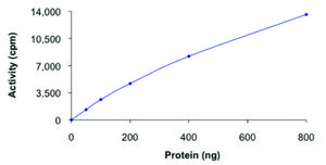 PDHK1, active, GST tagged human PRECISIO&#174; Kinase, recombinant, expressed in baculovirus infected Sf9 cells, &#8805;70% (SDS-PAGE), buffered aqueous glycerol solution