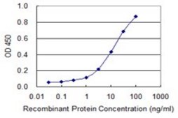 Monoclonal Anti-SLC5A3 antibody produced in mouse clone 3A6, purified immunoglobulin, buffered aqueous solution