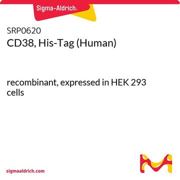 CD38, His-Tag (Human) recombinant, expressed in HEK 293 cells