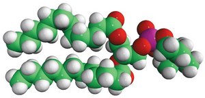 12:0 PC (DLPC) Avanti Research&#8482; - A Croda Brand