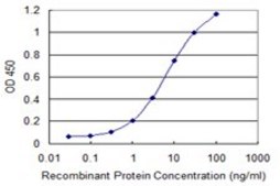 Monoclonal Anti-TWIST1 antibody produced in mouse clone 2G12, purified immunoglobulin, buffered aqueous solution