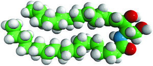 C18 Ceramide (d17:1/18:0) Avanti Research&#8482; - A Croda Brand 860646P, powder
