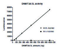 DNMT3A/DNMT3L active human recombinant, expressed in baculovirus infected Sf9 cells, &#8805;90% (SDS-PAGE)