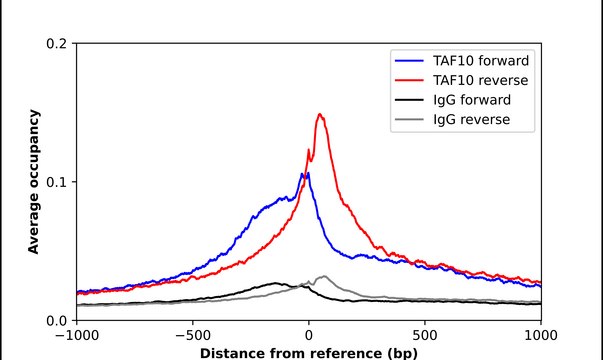 Anti-TAF10 antibody produced in rabbit Prestige Antibodies&#174; Powered by Atlas Antibodies, affinity isolated antibody, buffered aqueous glycerol solution