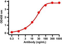 Anti-SARS-CoV-2 (COVID-19) Nucleocapsid antibody produced in rabbit affinity isolated antibody