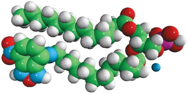 14:0-12:0 NBD PA Avanti Research&#8482; - A Croda Brand 810172P, powder