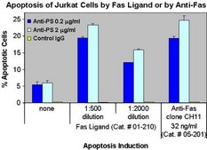 Anti-Phosphatidylserine Antibody, clone 1H6 clone 1H6, Upstate&#174;, from mouse