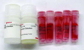 REDExtract-N-Amp&#8482; Plant PCR Kit sufficient for 100&#160;extractions, sufficient for 500&#160;amplifications