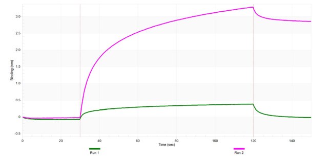 Anti-S100-A10 Antibody, clone 2D23 ZooMAb&#174; Rabbit Monoclonal recombinant, expressed in HEK 293 cells