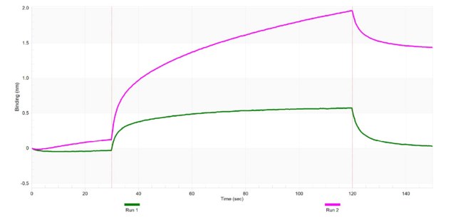 Anti-CX3CL1 Antibody, clone 3O6 ZooMAb&#174; Rabbit Monoclonal recombinant, expressed in HEK 293 cells