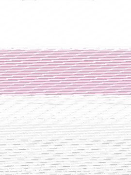 Corning&#174; cell culture flasks surface area 225&#160;cm2, angled neck, cap (plug seal)