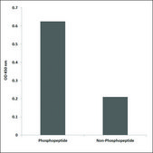 Anti-phospho-PLK1 (pThr210) antibody produced in rabbit affinity isolated antibody