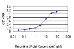 Monoclonal Anti-SLC9A1 antibody produced in mouse clone 2F5, purified immunoglobulin, buffered aqueous solution