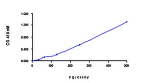PTPRA (174-802), active, GST tagged human recombinant, expressed in E. coli, &#8805;70% (SDS-PAGE), buffered aqueous glycerol solution