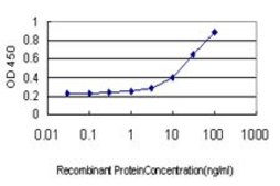 Monoclonal Anti-TFCP2 antibody produced in mouse clone 3H6, purified immunoglobulin, buffered aqueous solution