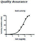 Set2 human recombinant, expressed in E. coli, &#8805;75% (SDS-PAGE)