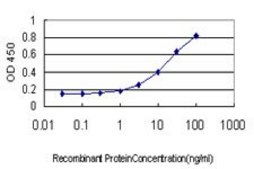 Monoclonal Anti-TNFRSF17 antibody produced in mouse clone 1F10, purified immunoglobulin, buffered aqueous solution