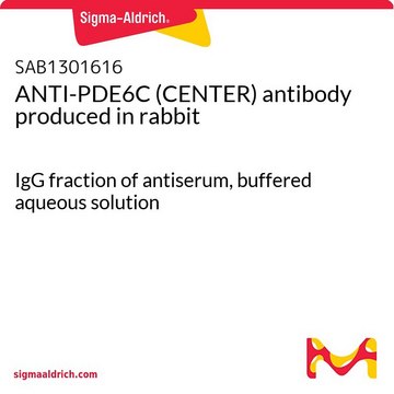 ANTI-PDE6C (CENTER) antibody produced in rabbit IgG fraction of antiserum, buffered aqueous solution