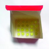 SIG10 MAX Electrocompetent Cells for general cloning &amp; library production