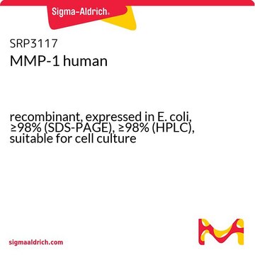 MMP-1 human recombinant, expressed in E. coli, &#8805;98% (SDS-PAGE), &#8805;98% (HPLC), suitable for cell culture