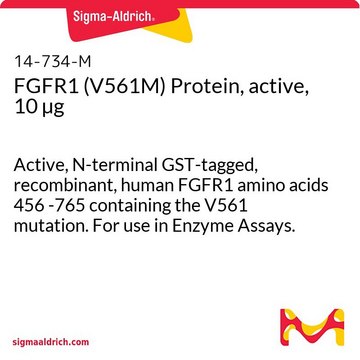 FGFR1 (V561M) Protein, active, 10 &#181;g Active, N-terminal GST-tagged, recombinant, human FGFR1 amino acids 456 -765 containing the V561 mutation. For use in Enzyme Assays.