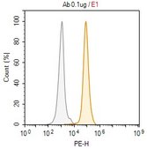 Anti-TIM-3 Antibody, clone RMT3-23 ZooMAb&#174; Rat Monoclonal recombinant, expressed in HEK 293 cells