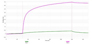 Anti-FLT4 Antibody, clone 2F4 ZooMAb® Rabbit Monoclonal recombinant, expressed in HEK 293 cells