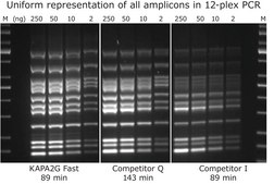 KAPA2G Fast Multiplex Mix suitable for PCR, 2&#160;×