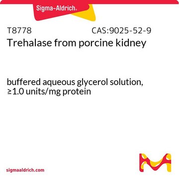 Trehalase from porcine kidney buffered aqueous glycerol solution, &#8805;1.0&#160;units/mg protein