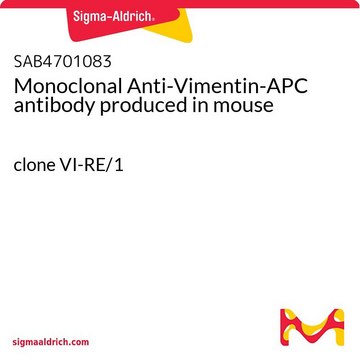 Monoclonal Anti-Vimentin-APC antibody produced in mouse clone VI-RE/1