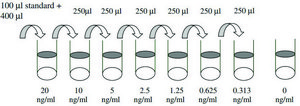Human Cystatin C ELISA Kit for serum, plasma, cell culture supernatant and urine