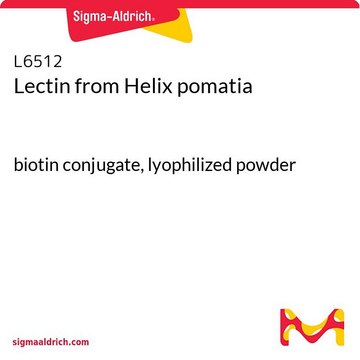 Lectin from Helix pomatia biotin conjugate, lyophilized powder