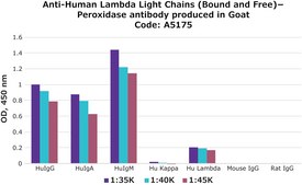 Anti-Human Lambda Light Chains (Bound and Free)&#8722;Peroxidase antibody produced in goat affinity isolated antibody, buffered aqueous solution