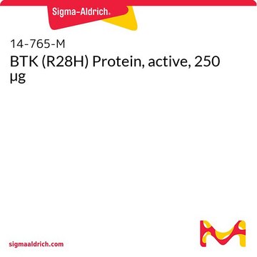 BTK (R28H) Protein, active, 250 µg