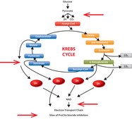 ProClin&#8482; 950 pkg of 5&#160;mL, ProClin&#8482; preservative for use in IVD manufacturing, MIT 9.5&#160;%