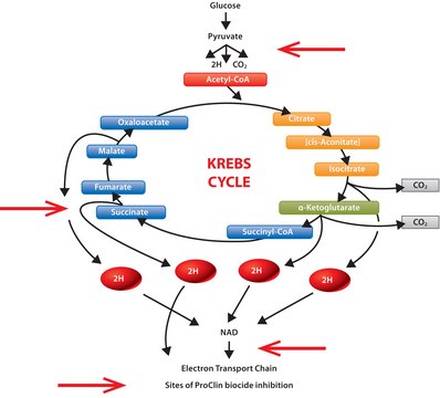 ProClin&#8482; 950 ProClin&#8482; preservative for use in IVD manufacturing, pkg of 110&#160;kg, MIT 9.5&#160;%