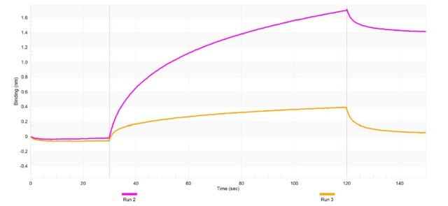 Anti-PLVAP Antibody, clone 3K18 ZooMAb&#174; Rabbit Monoclonal recombinant, expressed in HEK 293 cells