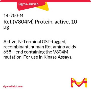 Ret (V804M) Protein, active, 10 &#181;g Active, N-Terminal GST-tagged, recombinant, human Ret amino acids 658 &#8211; end containing the V804M mutation. For use in Kinase Assays.