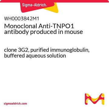 Monoclonal Anti-TNPO1 antibody produced in mouse clone 3G2, purified immunoglobulin, buffered aqueous solution