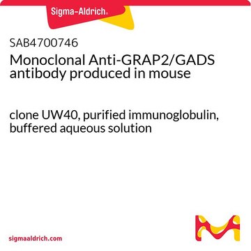 Monoclonal Anti-GRAP2/GADS antibody produced in mouse clone UW40, purified immunoglobulin, buffered aqueous solution