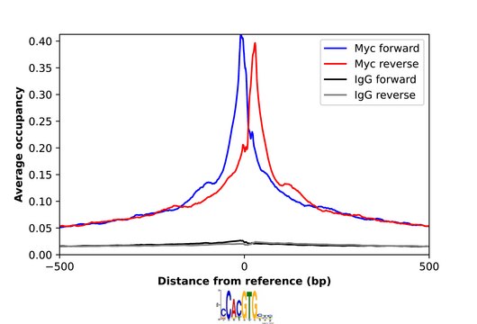 Anti-MYC antibody produced in rabbit Prestige Antibodies&#174; Powered by Atlas Antibodies, affinity isolated antibody