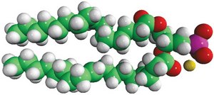 Egg PA Avanti Research&#8482; - A Croda Brand