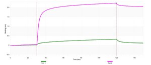Anti-PLK1 Antibody, clone 1F2 ZooMAb&#174; Rabbit Monoclonal recombinant, expressed in HEK 293 cells